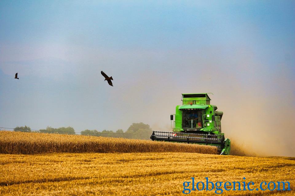 Combine Harvester Rentals